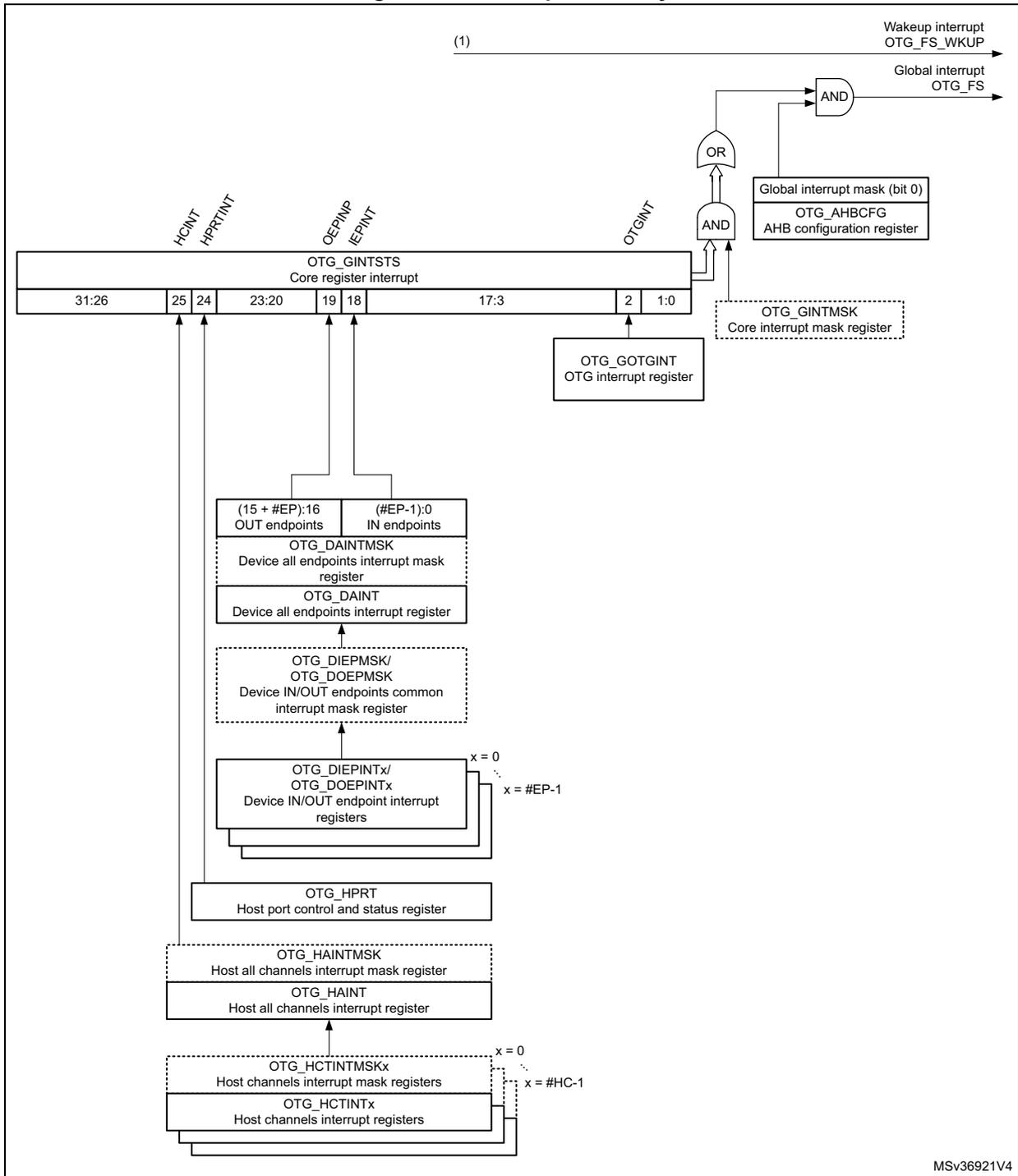 Interrupt hierarchy diagram for USB OTG_FS showing the flow from various interrupt sources through registers and logic gates to the global interrupt output.