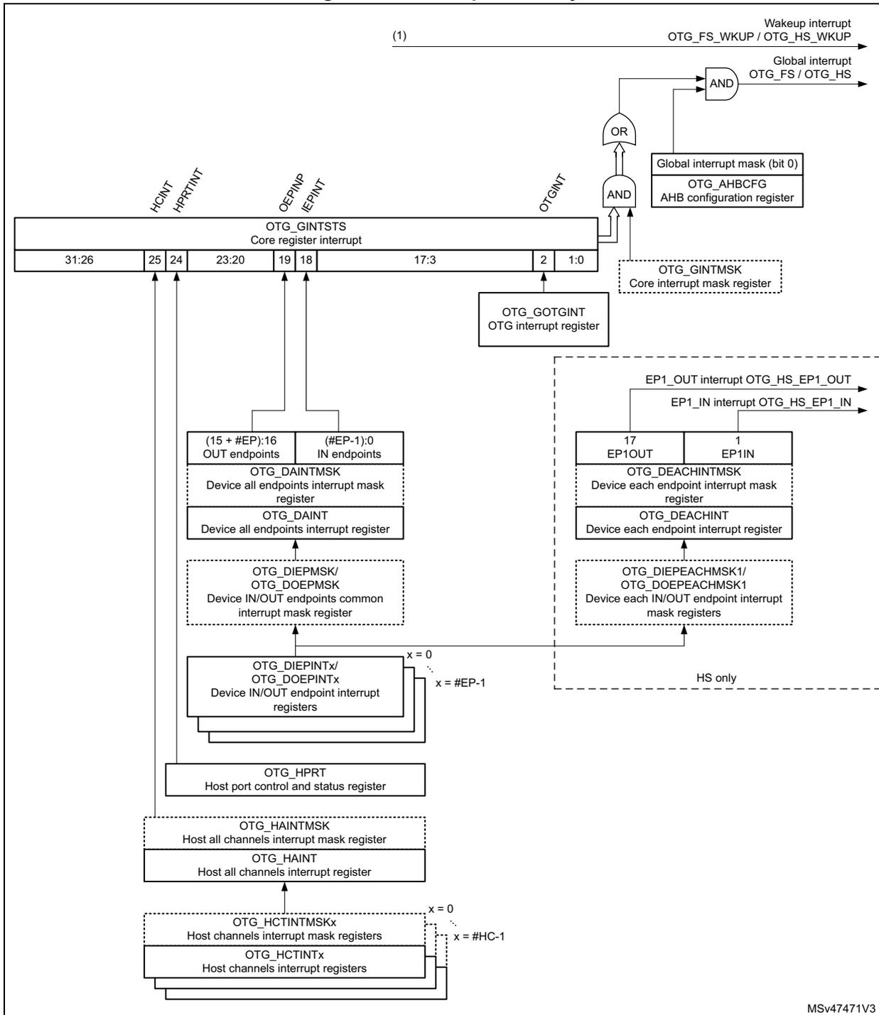 Interrupt hierarchy diagram for USB OTG. It shows the flow of interrupts from various sources (Wakeup, Global, OTG_GINTSTS, OTG_HPRT, OTG_HINT, OTG_DINT, OTG_DEACHINT) through a series of AND/OR gates to the final interrupt outputs. The OTG_GINTSTS register is shown with bit ranges for different interrupt types. Mask registers (OTG_GINTMSK, OTG_HPRT, OTG_HINT, OTG_DINT, OTG_DEACHINT) and individual endpoint/channel interrupt registers are also shown.