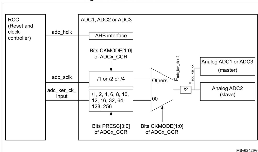 Figure 142. ADC Clock scheme diagram showing the clock distribution from the RCC to the ADC interfaces and analog ADCs.