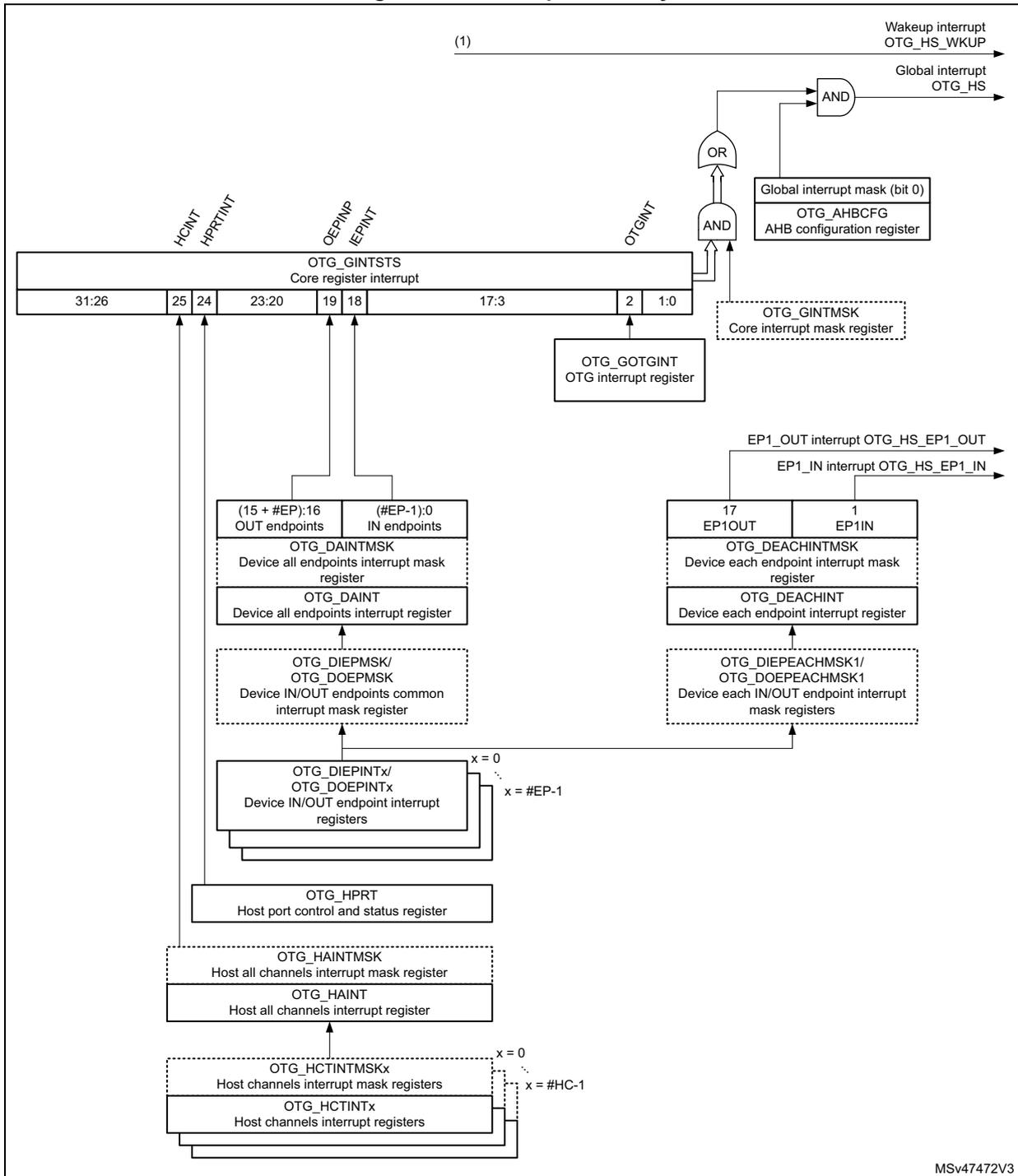 Interrupt hierarchy diagram for OTG_HS showing the flow from various interrupt sources through registers and logic gates to the global interrupt OTG_HS. The diagram includes sections for Wakeup, Device, and Host interrupts, each with their respective registers and priority levels within the OTG_GINTSTS register.
