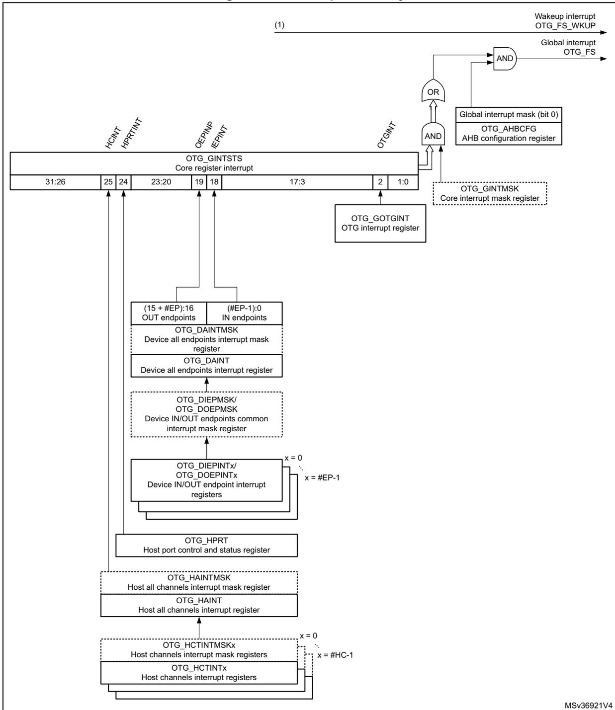 Interrupt hierarchy diagram for OTG_FS showing the flow from various interrupt sources through registers and logic gates to the global interrupt line.