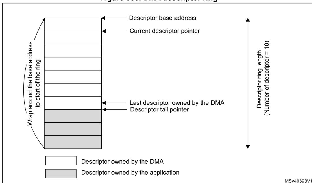 Diagram of a DMA descriptor ring showing a circular list of 10 descriptors. The 'Descriptor base address' points to the first descriptor, and the 'Current descriptor pointer' points to the second. The 'Last descriptor owned by the DMA' and 'Descriptor tail pointer' both point to the eighth descriptor. A 'Wrap around the base address' arrow shows the connection from the last descriptor back to the first. A vertical double-headed arrow on the right indicates the 'Descriptor ring length (Number of descriptor = 10)'. A legend at the bottom shows a white box for 'Descriptor owned by the DMA' and a gray box for 'Descriptor owned by the application'. The code 'MSv40393V1' is in the bottom right corner.