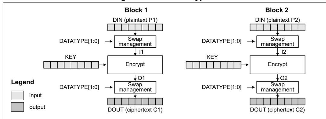 Diagram of ECB encryption showing two blocks, Block 1 and Block 2, processed independently. Each block has a DIN (plaintext) input, a Swap management block, an Encrypt block, and a DOUT (ciphertext) output. A KEY is input to the Encrypt block. DATATYPE[1:0] is input to the Swap management blocks. A legend indicates that light gray boxes are input and dark gray boxes are output.